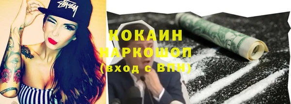 хмурый Каменка