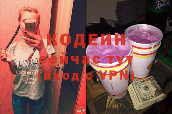 хмурый Каменка
