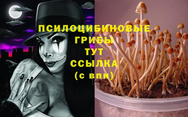 таблы Каменногорск