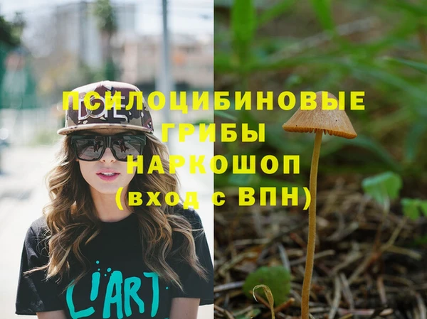 таблы Каменногорск
