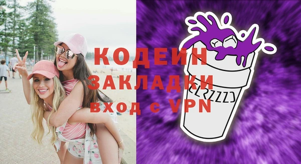 хмурый Каменка