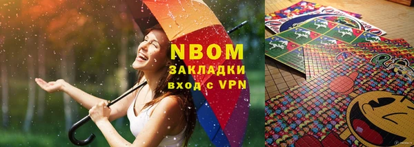 хмурый Каменка