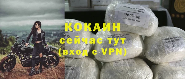 PSILOCYBIN Алагир