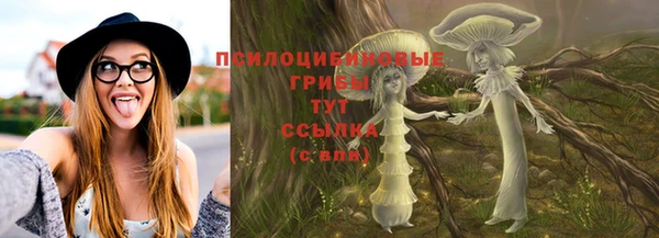 хмурый Каменка