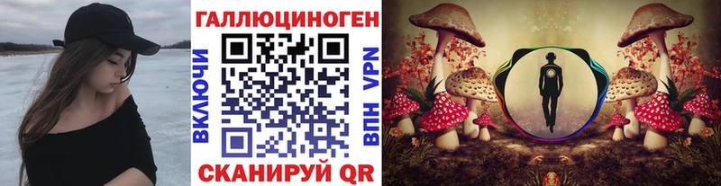купить наркотик  Карачаевск  Галлюциногенные грибы MAGIC MUSHROOMS 