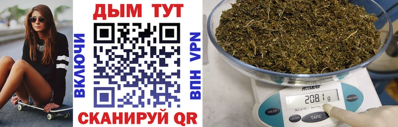Шишки марихуана Amnesia  магазин продажи наркотиков  Карачаевск 